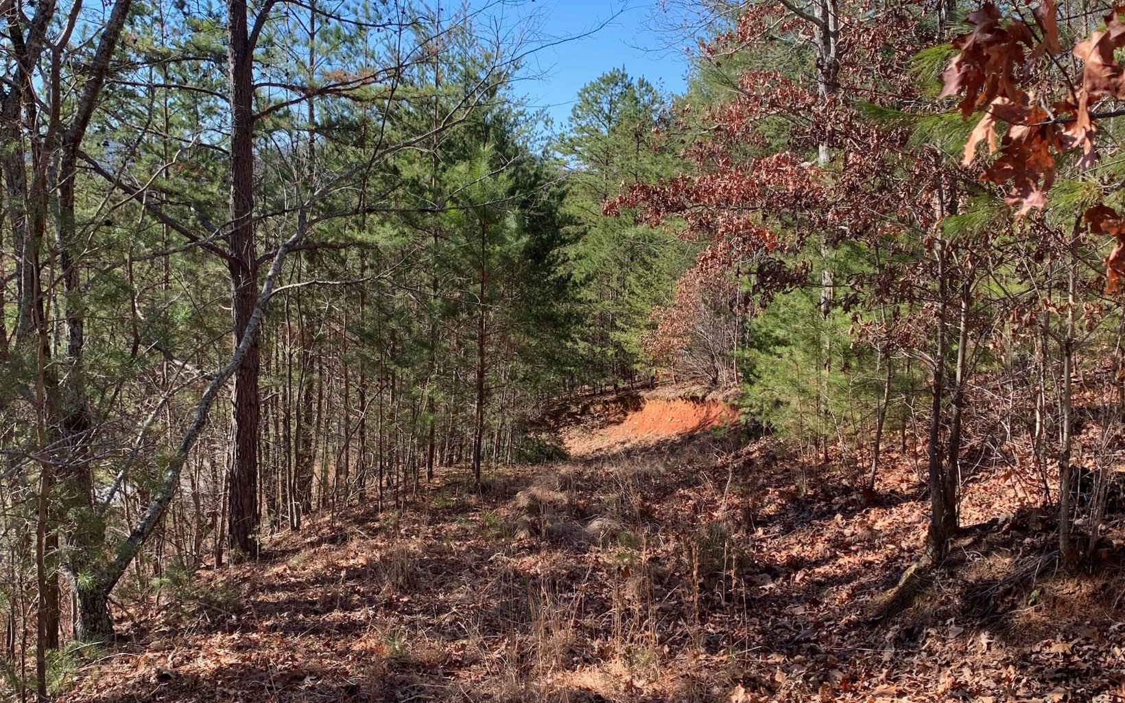 111 Four Seasons Landing