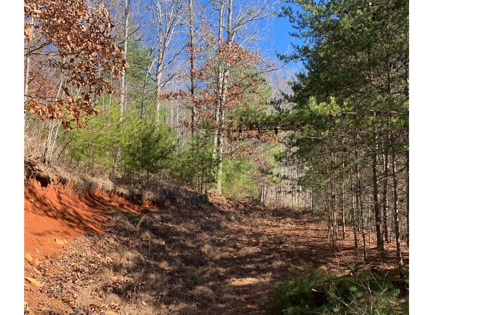 111 Four Seasons Landing