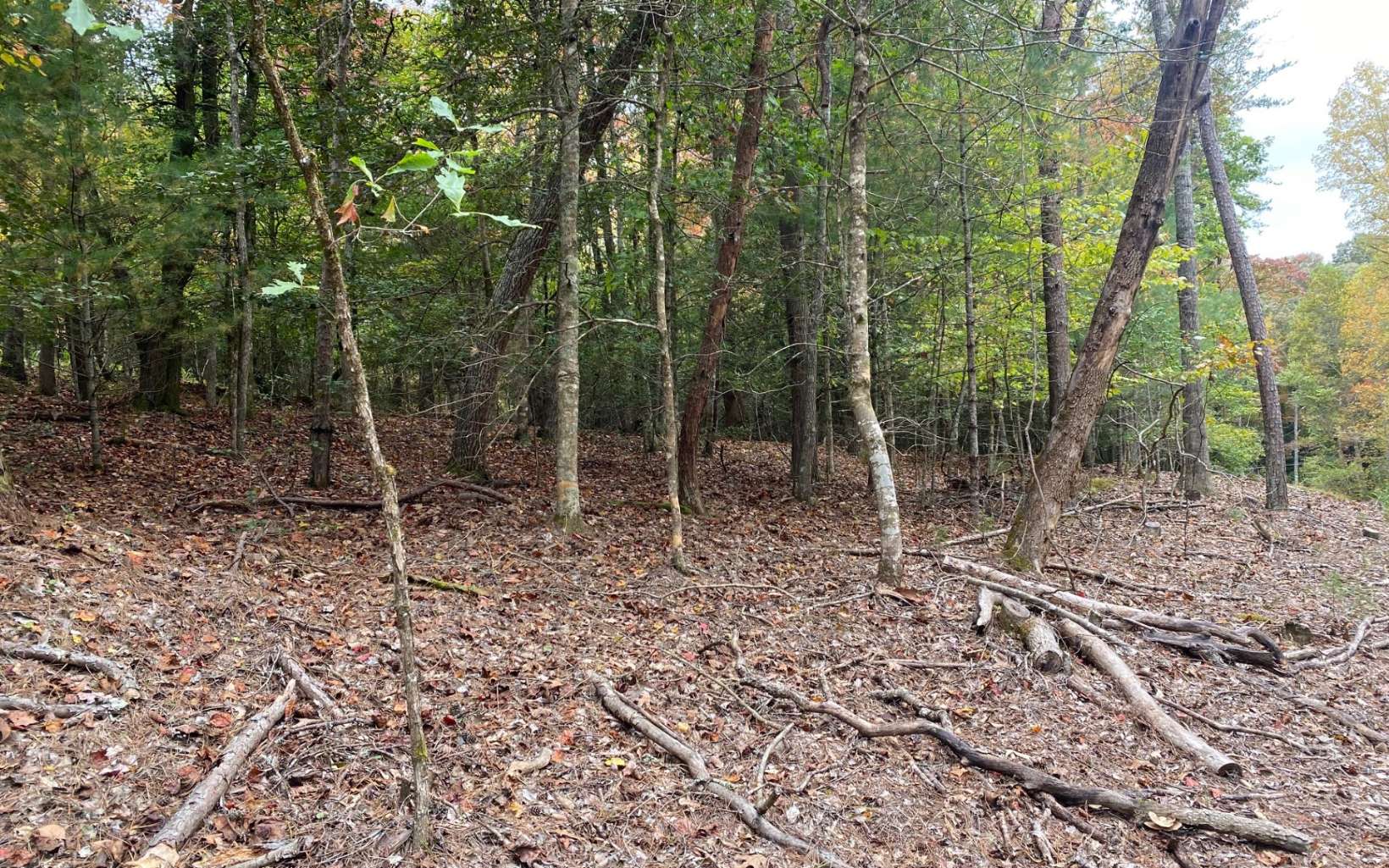 LOT 2 Notla Mtn Retreat