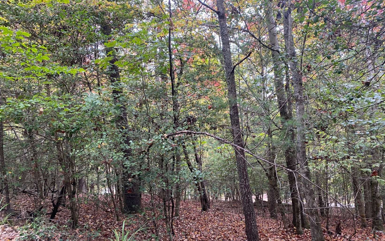 LOT 2 Notla Mtn Retreat