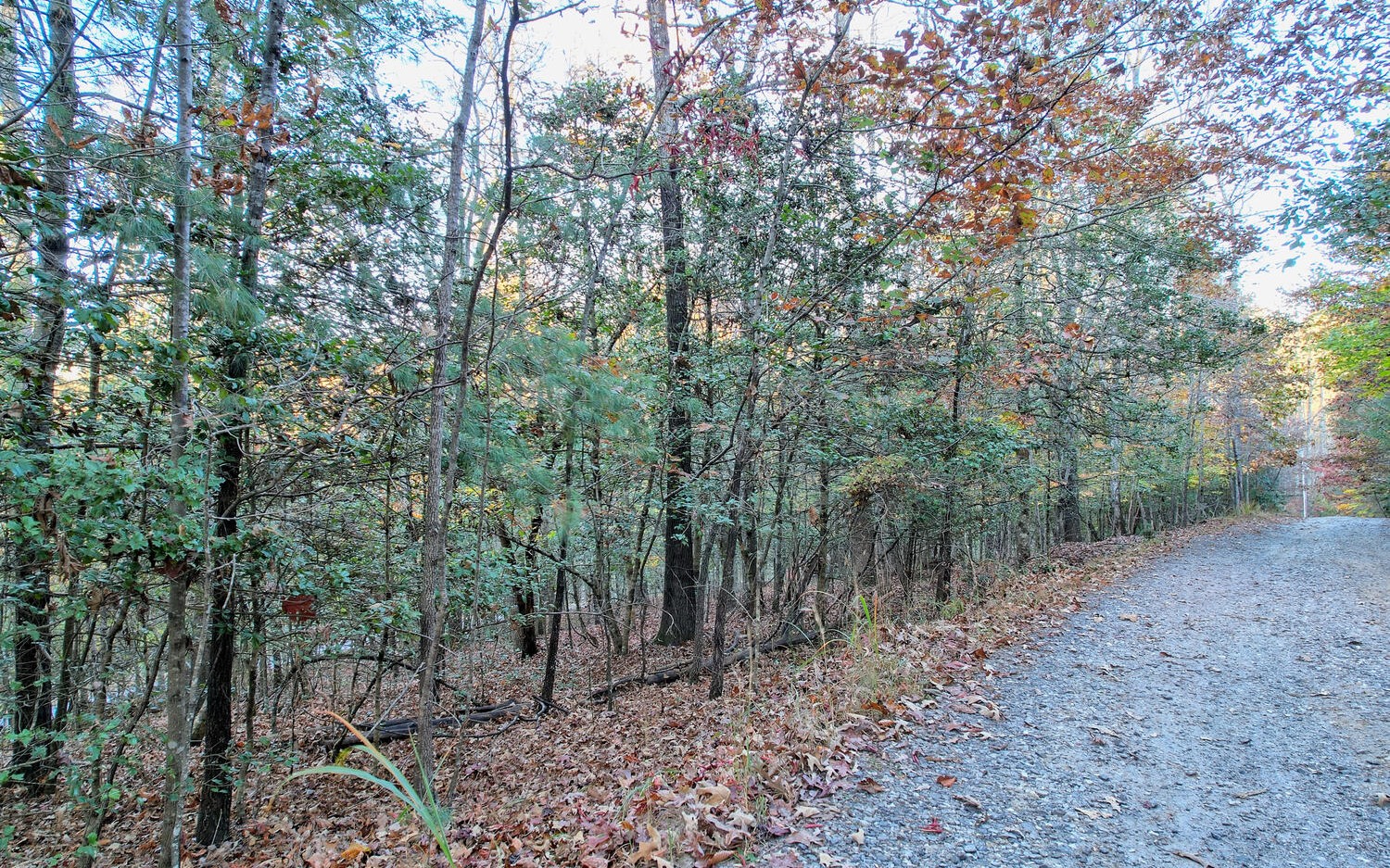 LOT 2 Notla Mtn Retreat