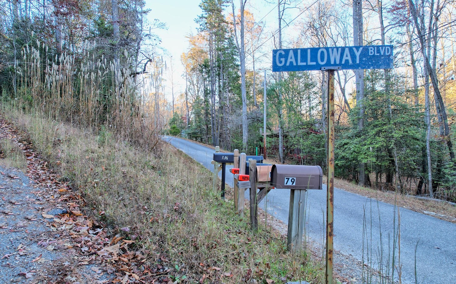 LOT 2 Notla Mtn Retreat