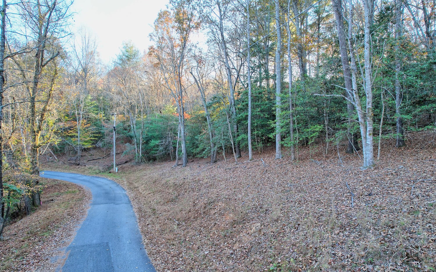 LOT 2 Notla Mtn Retreat