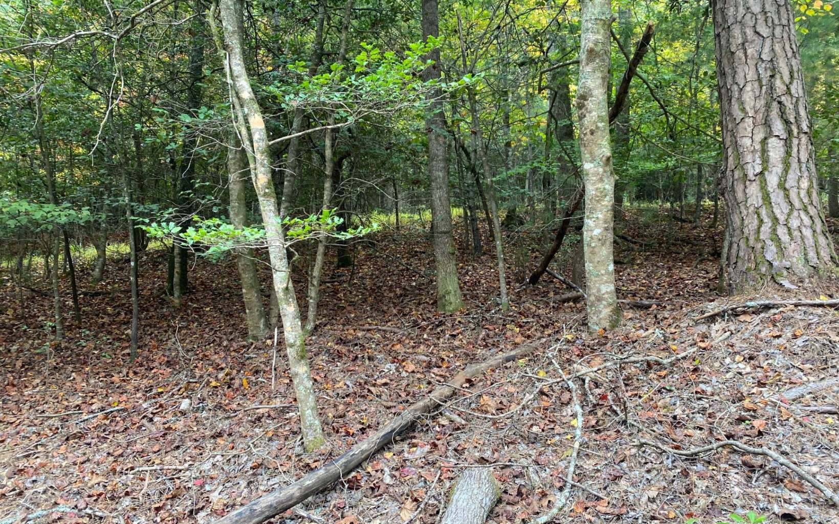 LOT 3 Notla Mtn Retreat