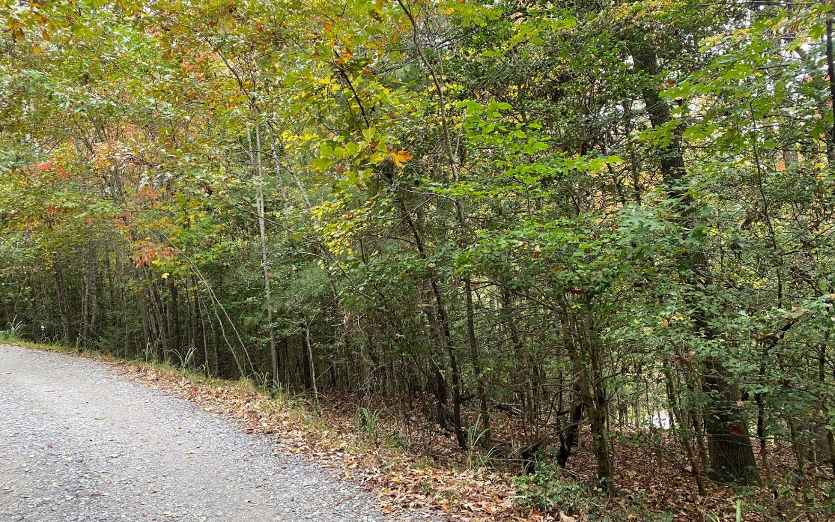 LOT 3 Notla Mtn Retreat