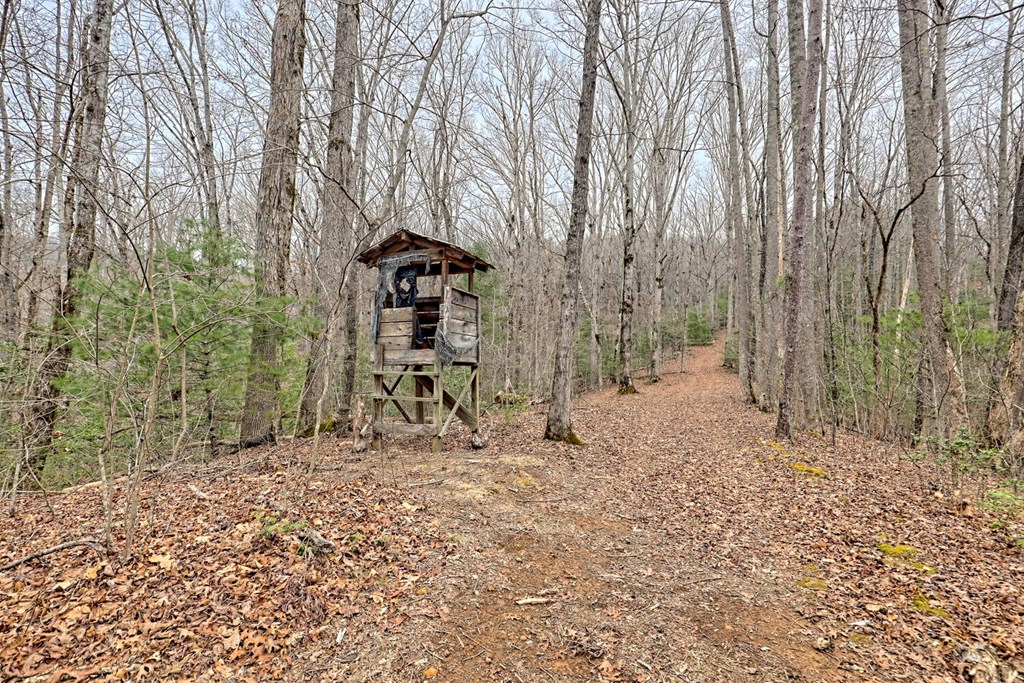 6074 Fires Creek Road