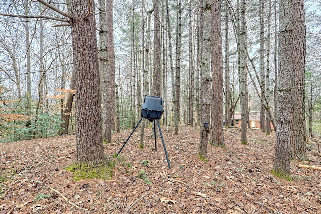 6074 Fires Creek Road