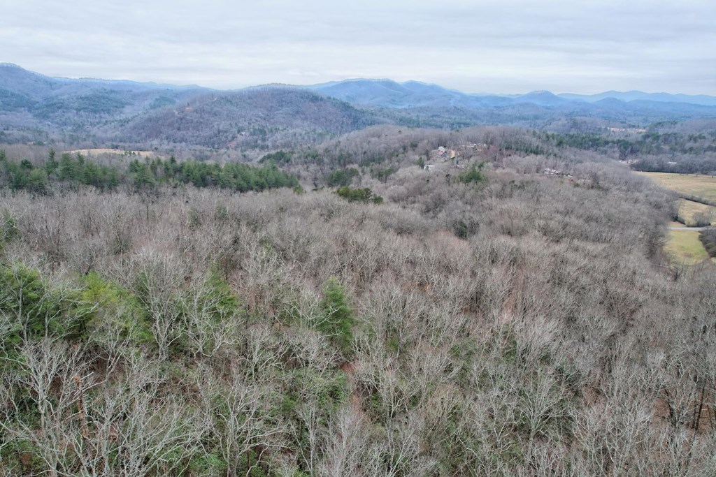 6074 Fires Creek Road