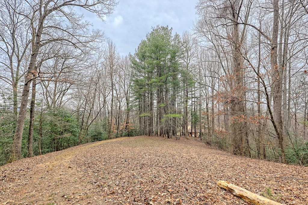 6074 Fires Creek Road