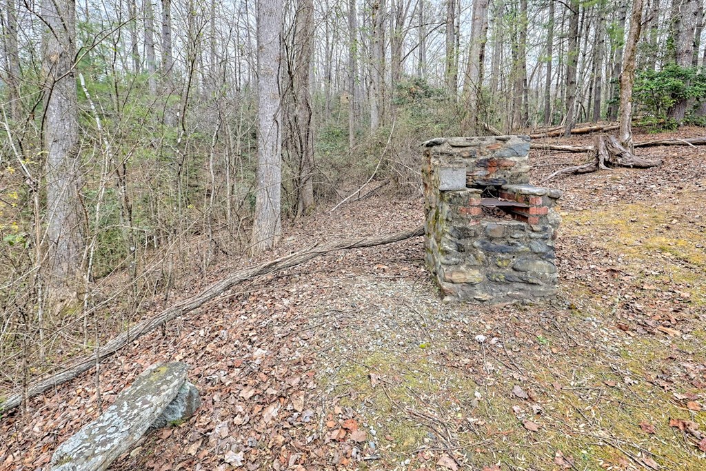 6074 Fires Creek Road