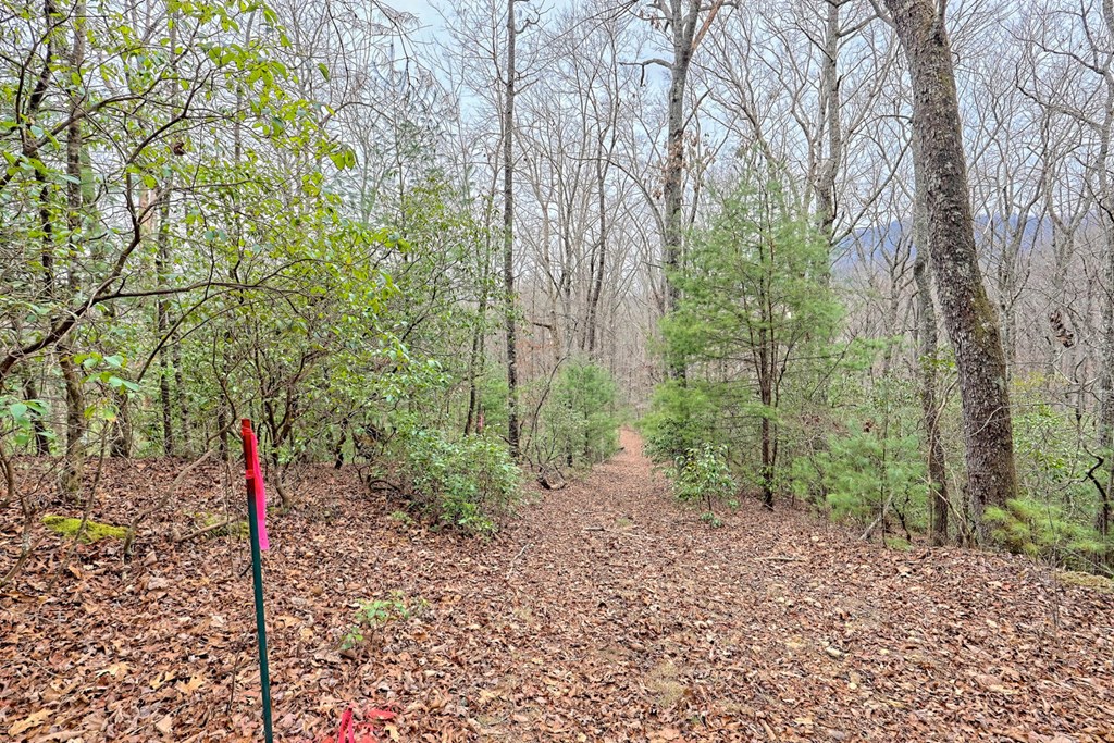 6074 Fires Creek Road