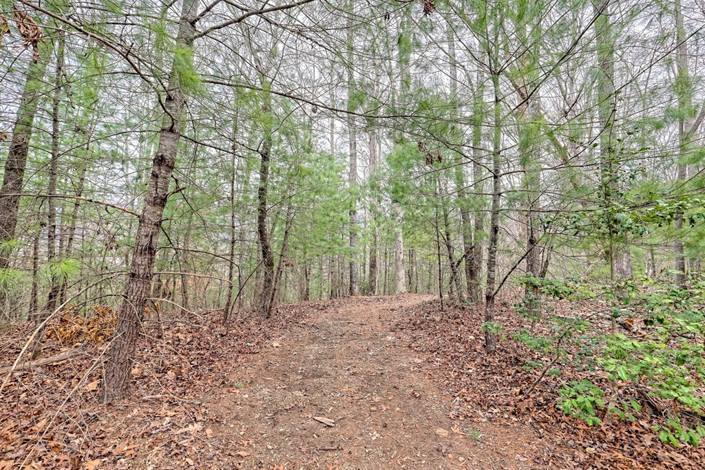 6074 Fires Creek Road