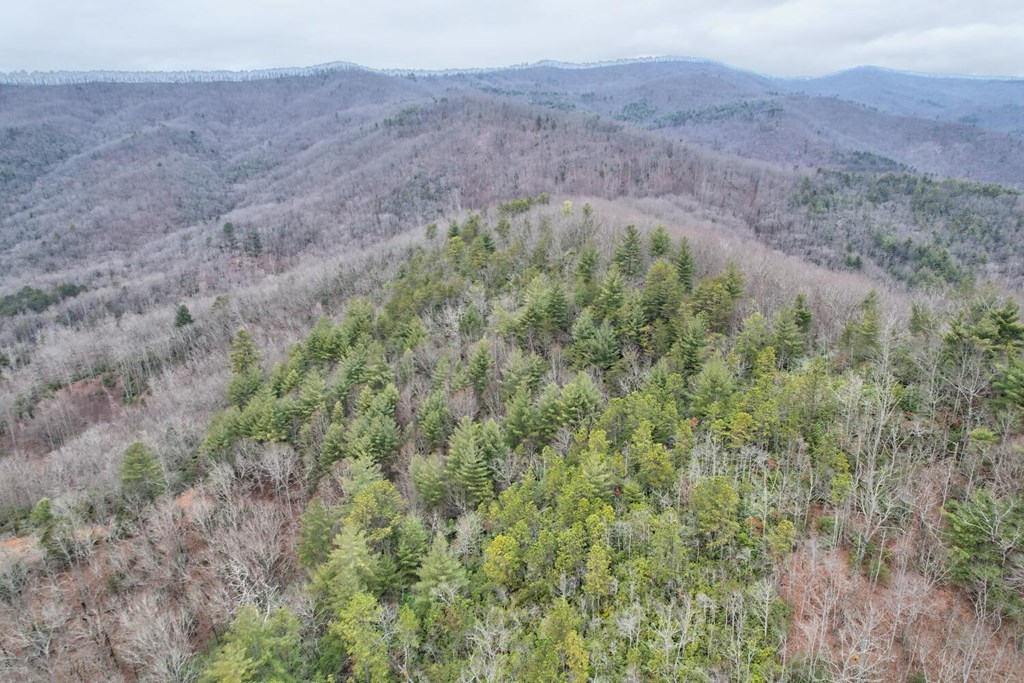 6074 Fires Creek Road