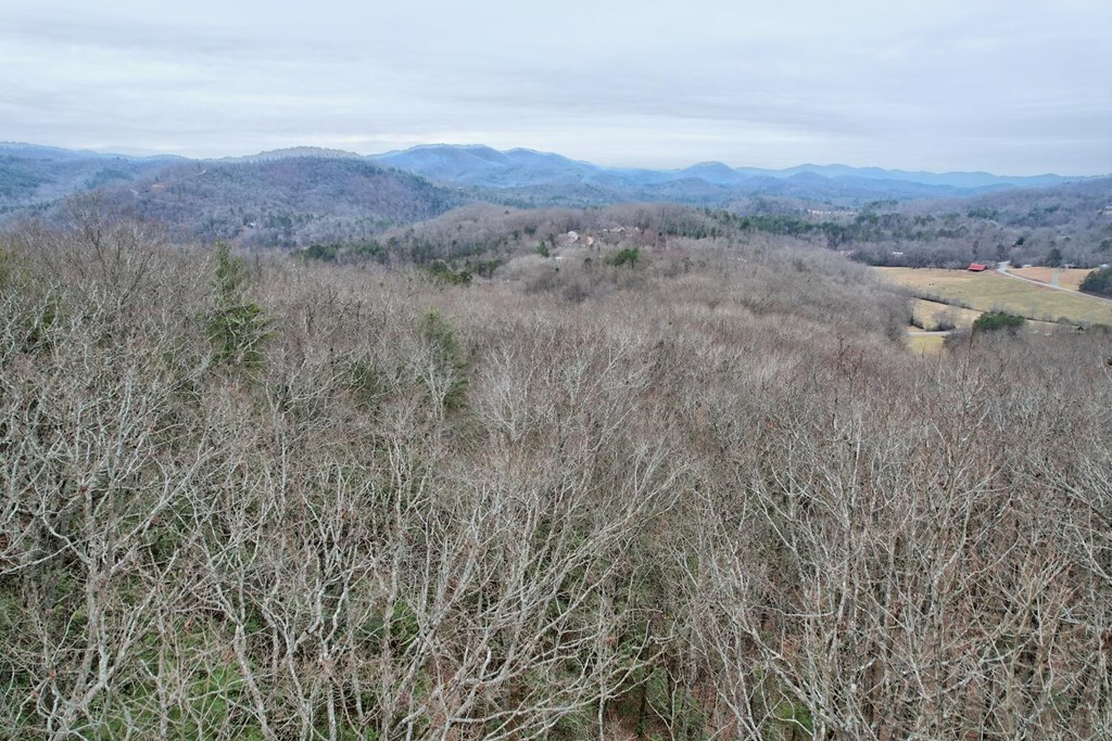 6074 Fires Creek Road