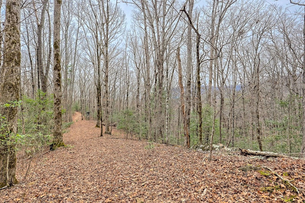 6074 Fires Creek Road