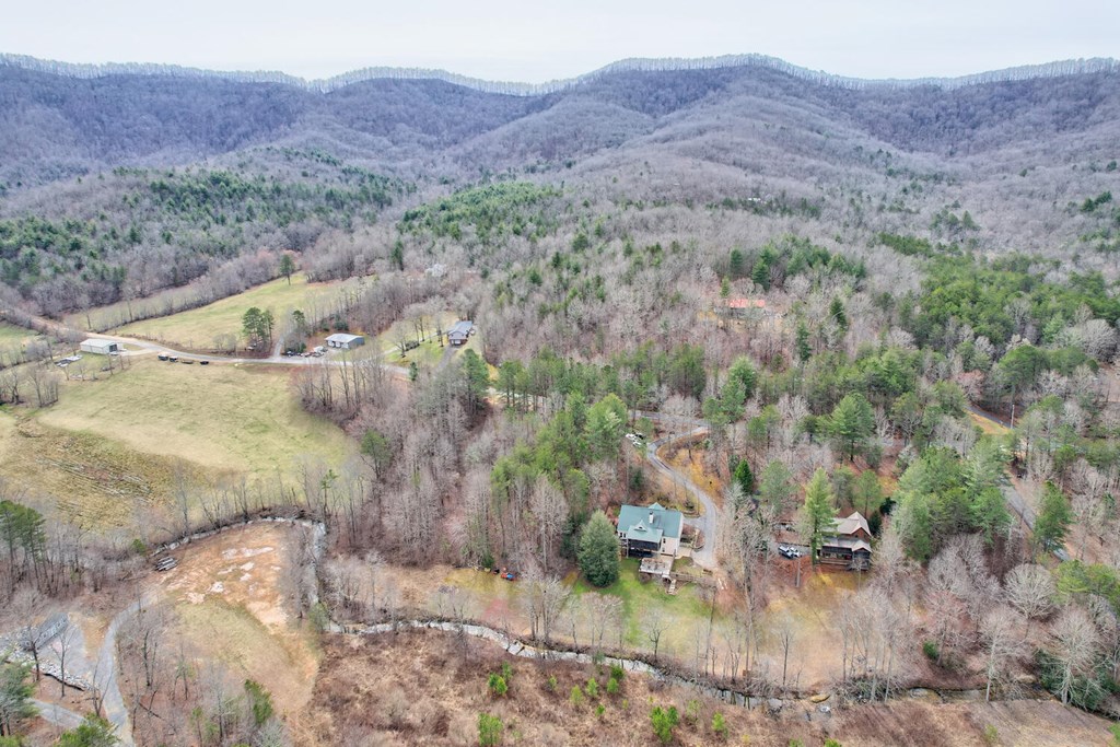 1659 Ivy Log Creek Road