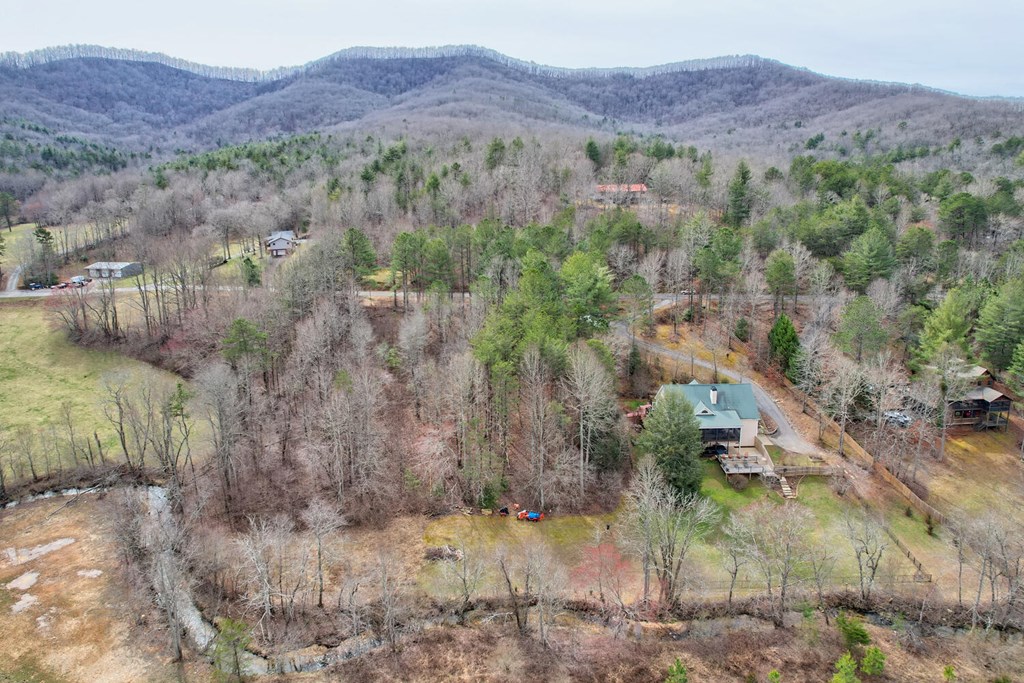 1659 Ivy Log Creek Road