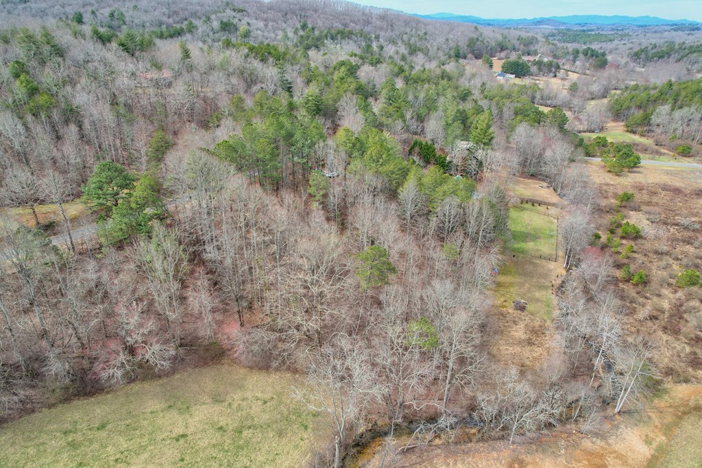 1659 Ivy Log Creek Road