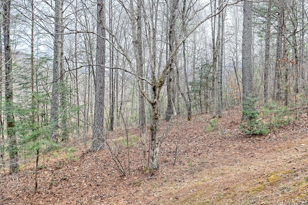 1659 Ivy Log Creek Road