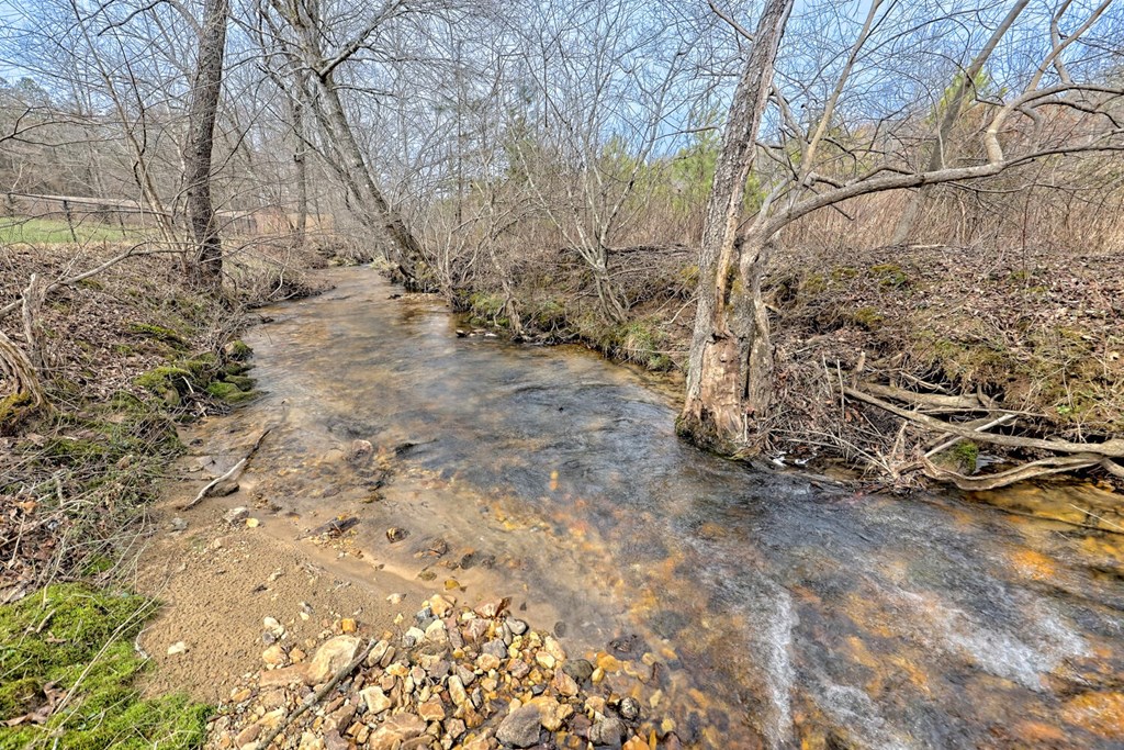 1659 Ivy Log Creek Road