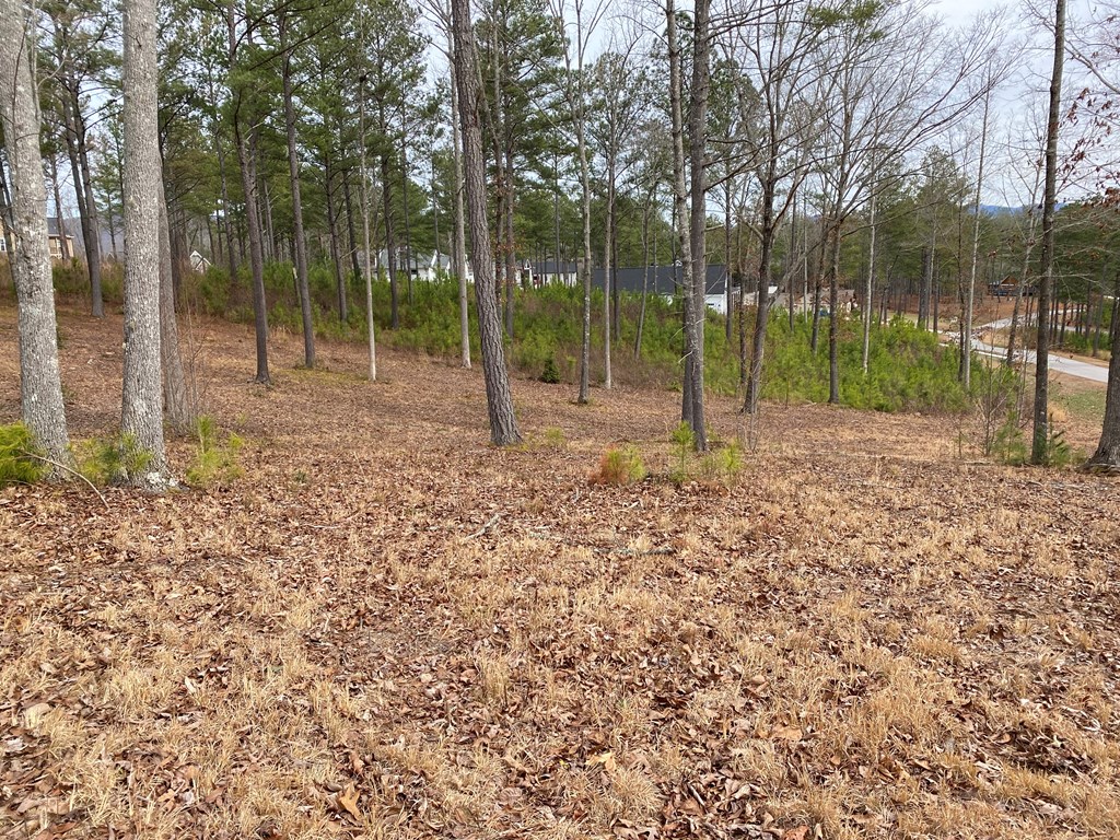 Lot10 High Point Trail