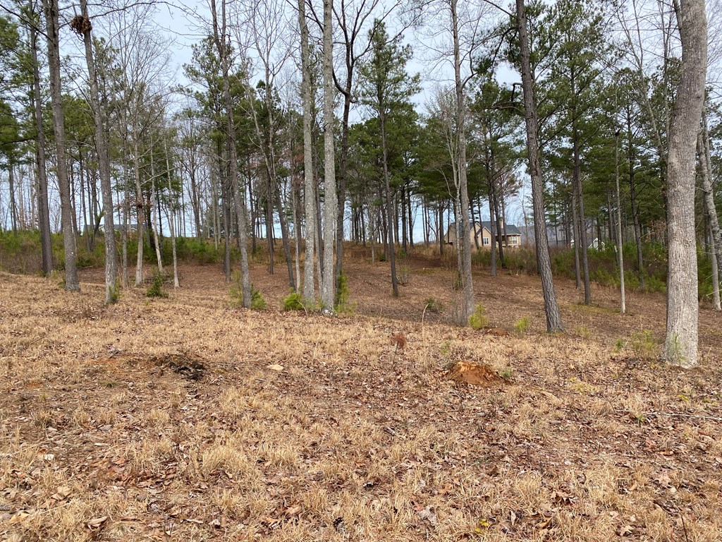 Lot10 High Point Trail