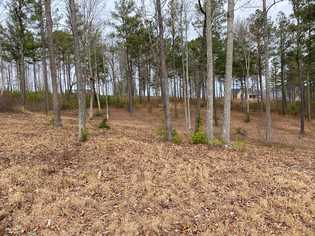 Lot10 High Point Trail