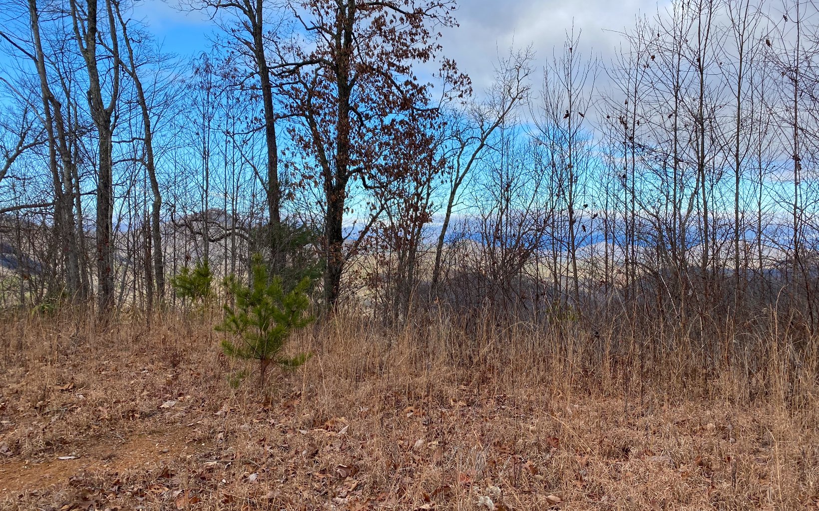 Lot G2 Georgianna Lane