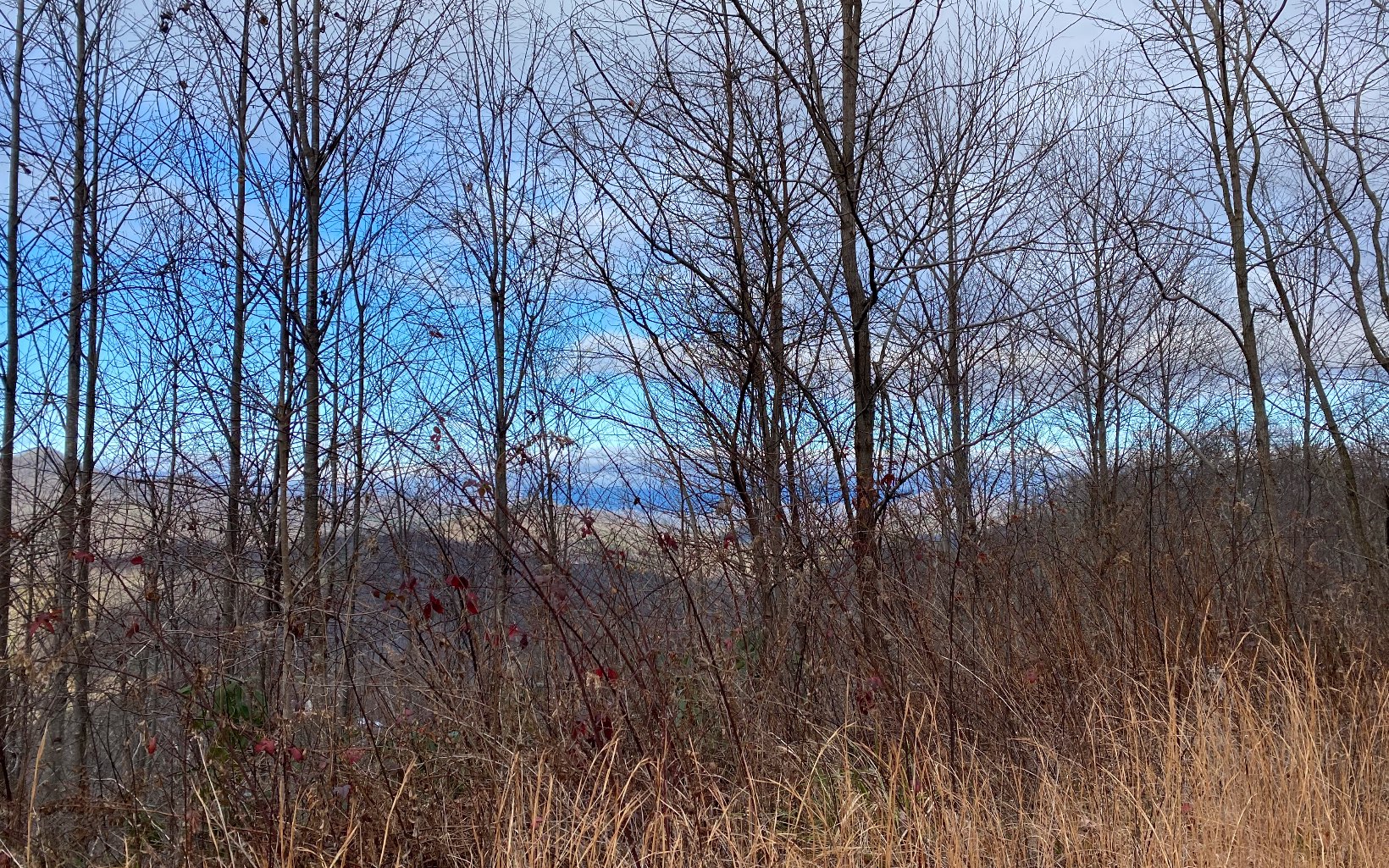 Lot G2 Georgianna Lane