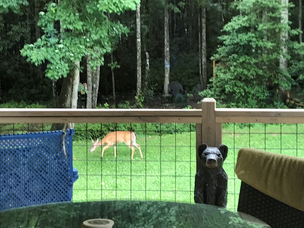 6000 Bridge Creek Rd