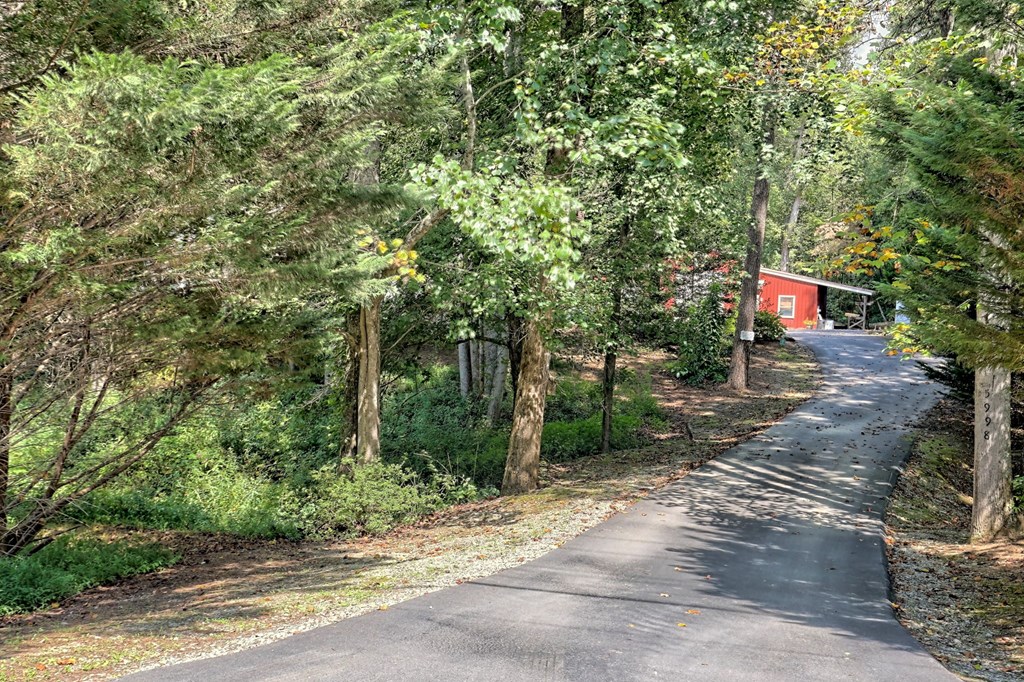 6000 Bridge Creek Rd