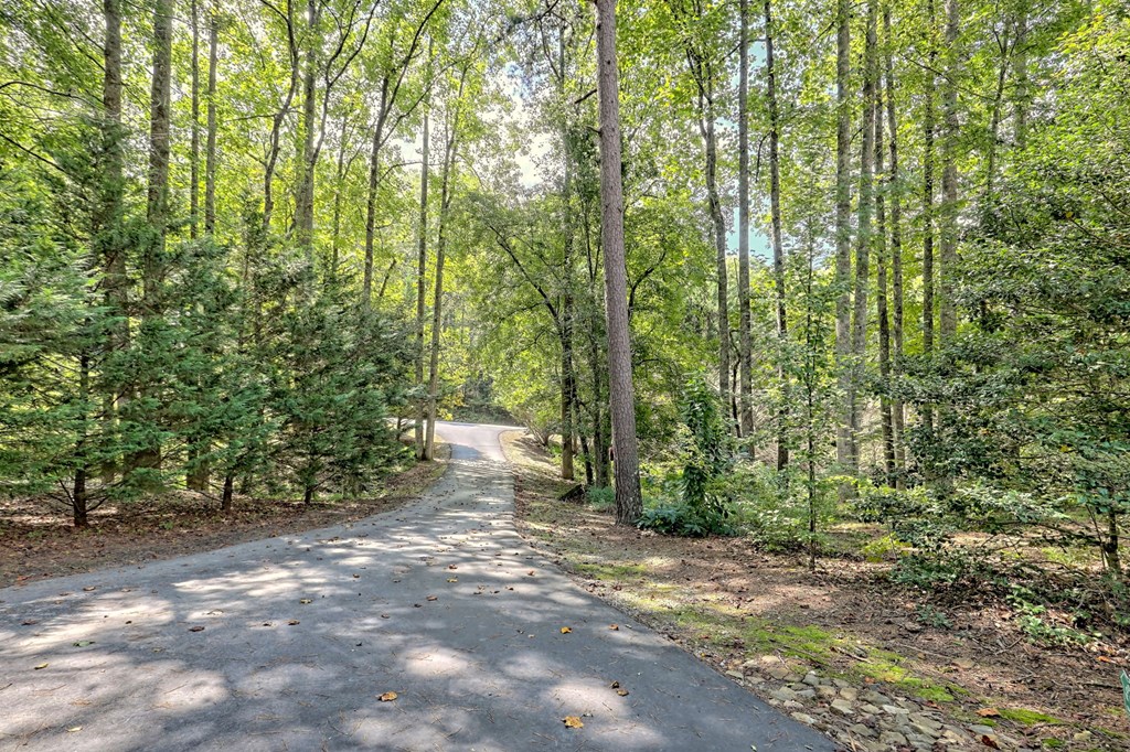 6000 Bridge Creek Rd