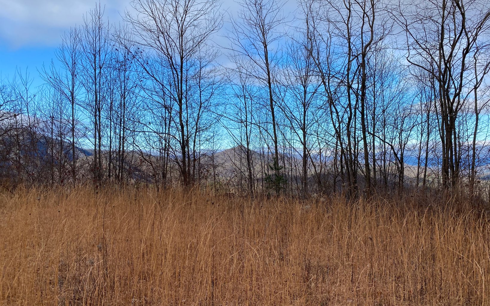 Lot G3 Georgianna Lane