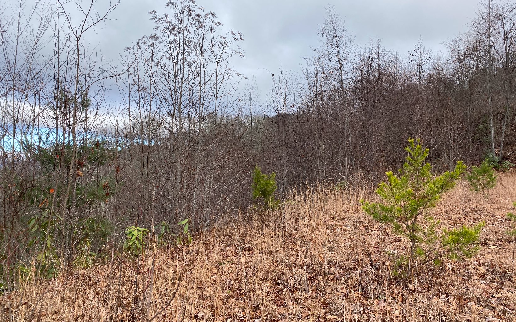 Lot G5 Georgianna Lane