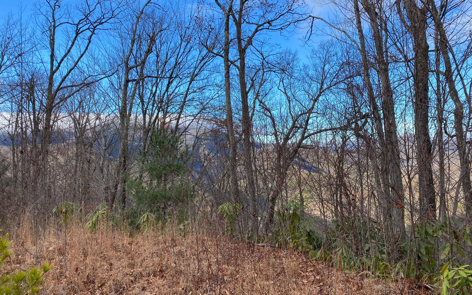 Lot G5 Georgianna Lane