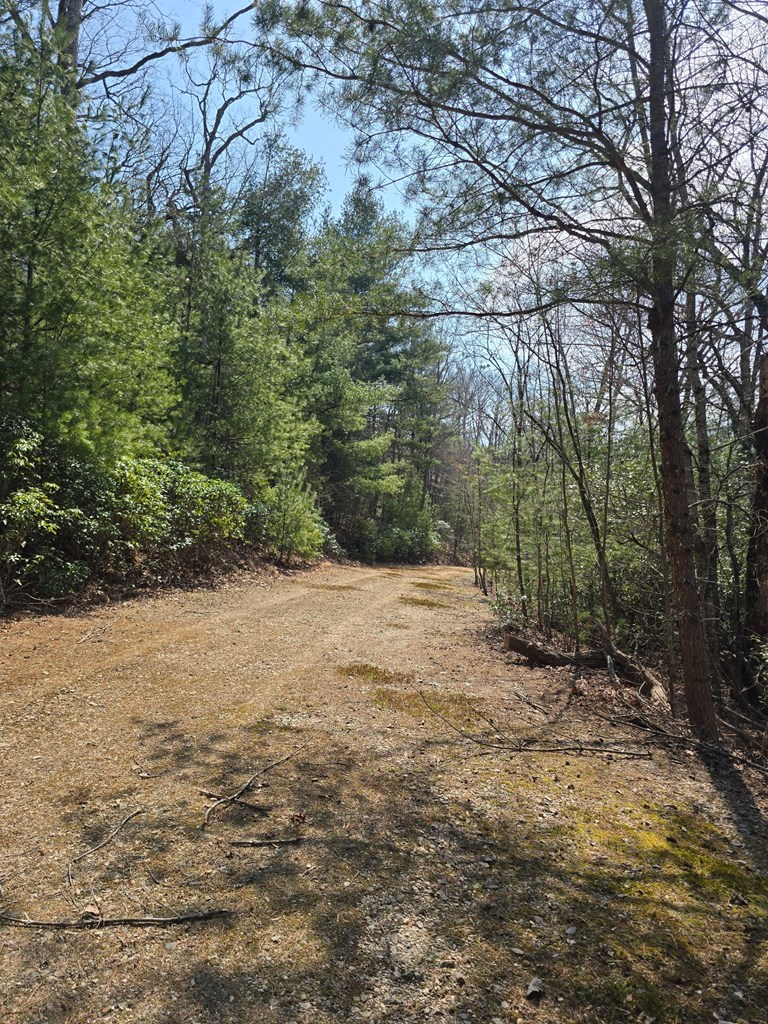 8 & 9 Up The Ridge Road