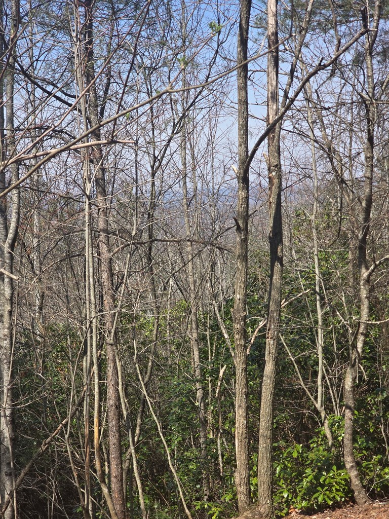 8 & 9 Up The Ridge Road