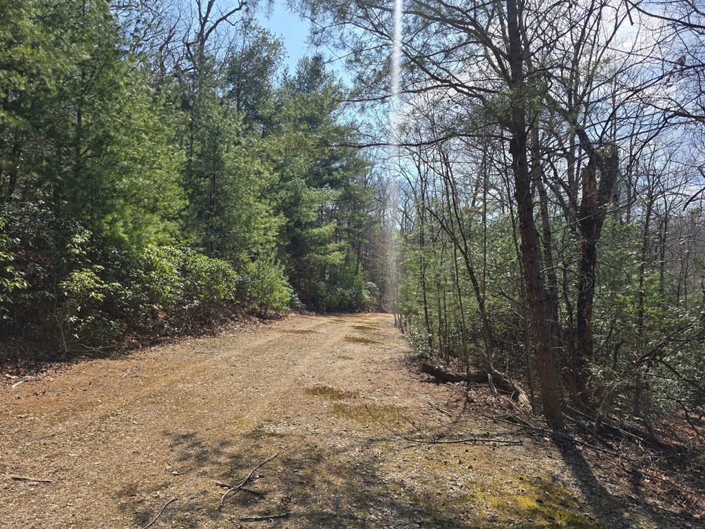 8 & 9 Up The Ridge Road