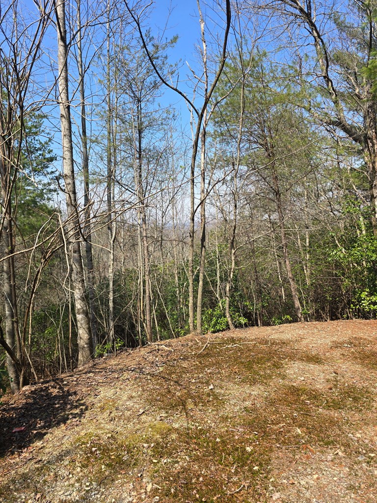 8 & 9 Up The Ridge Road