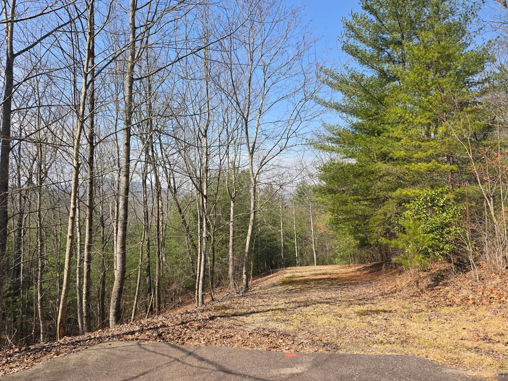 8 & 9 Up The Ridge Road