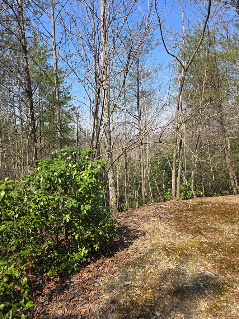 8 & 9 Up The Ridge Road