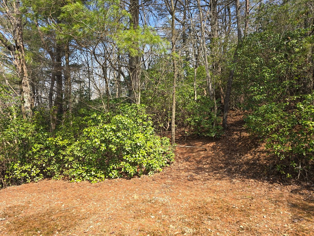 8 & 9 Up The Ridge Road