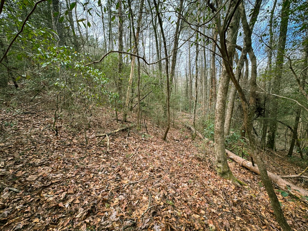 49/50 Hemlock Circle