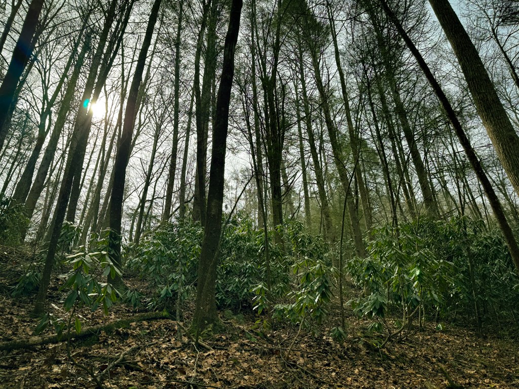 49/50 Hemlock Circle