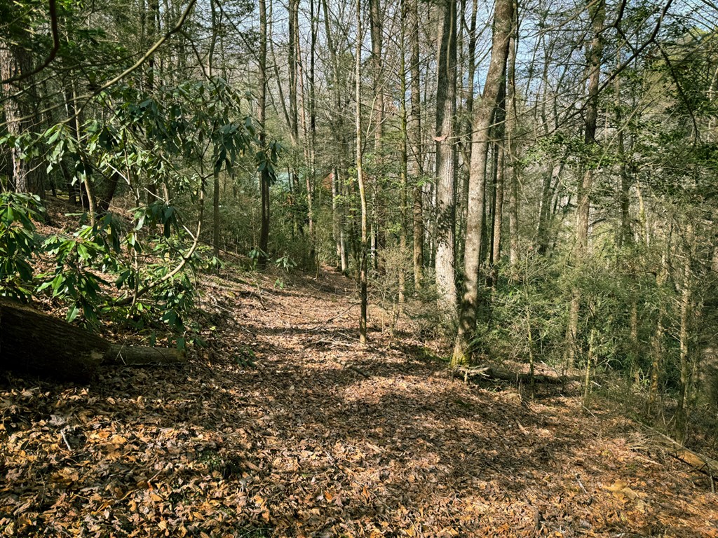 49/50 Hemlock Circle