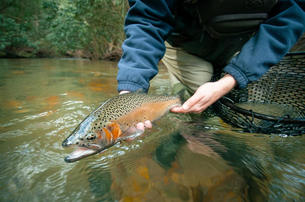 49/50 Hemlock Circle