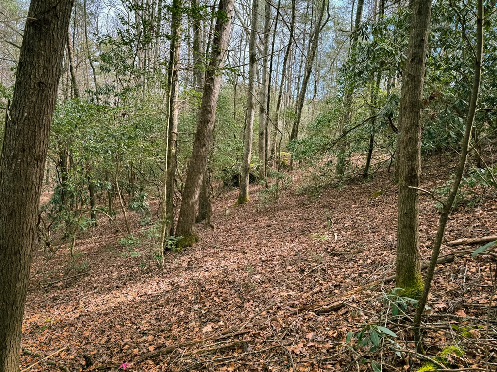 49/50 Hemlock Circle