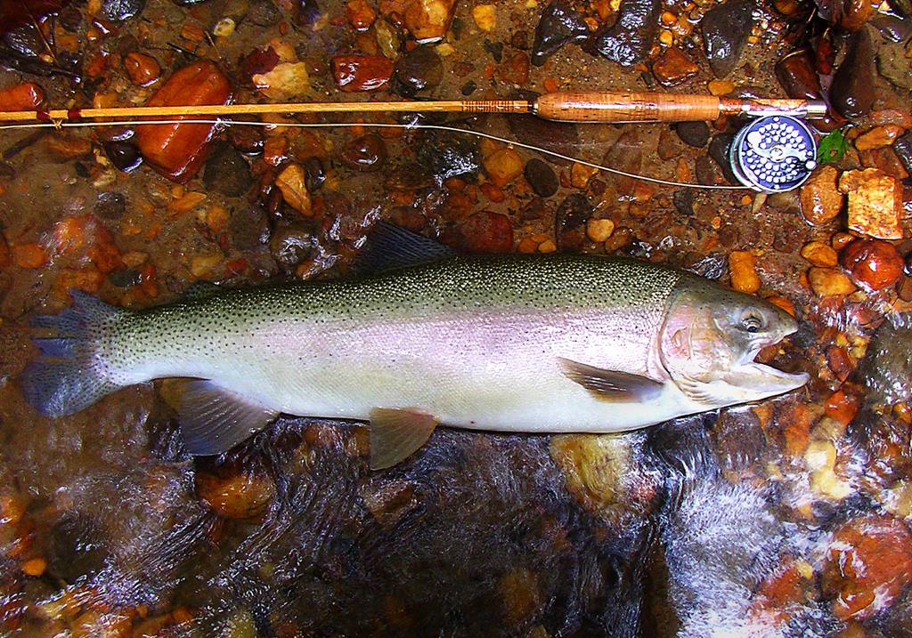 49/50 Hemlock Circle