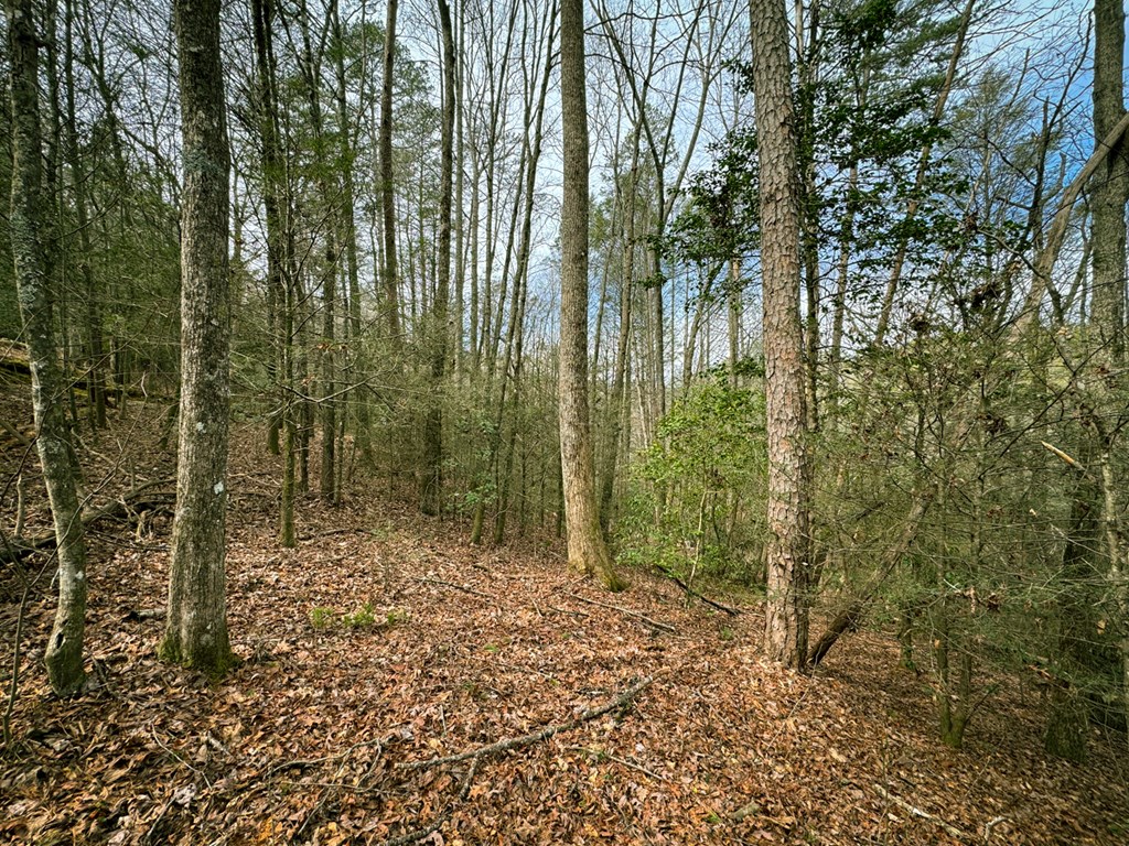 49/50 Hemlock Circle