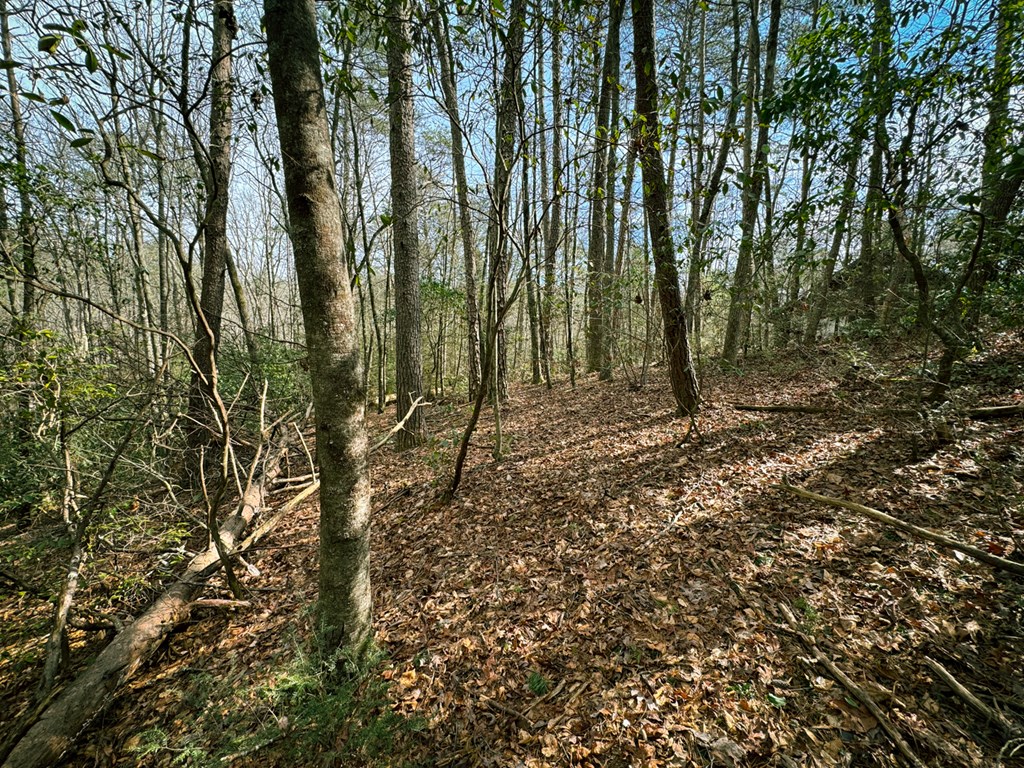 49/50 Hemlock Circle